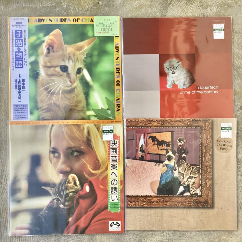 猫ジャケコーナーを作りました!