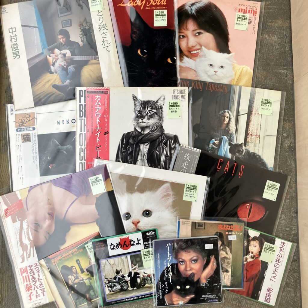 【新入荷情報】猫ジャケットLPが入荷しました。
