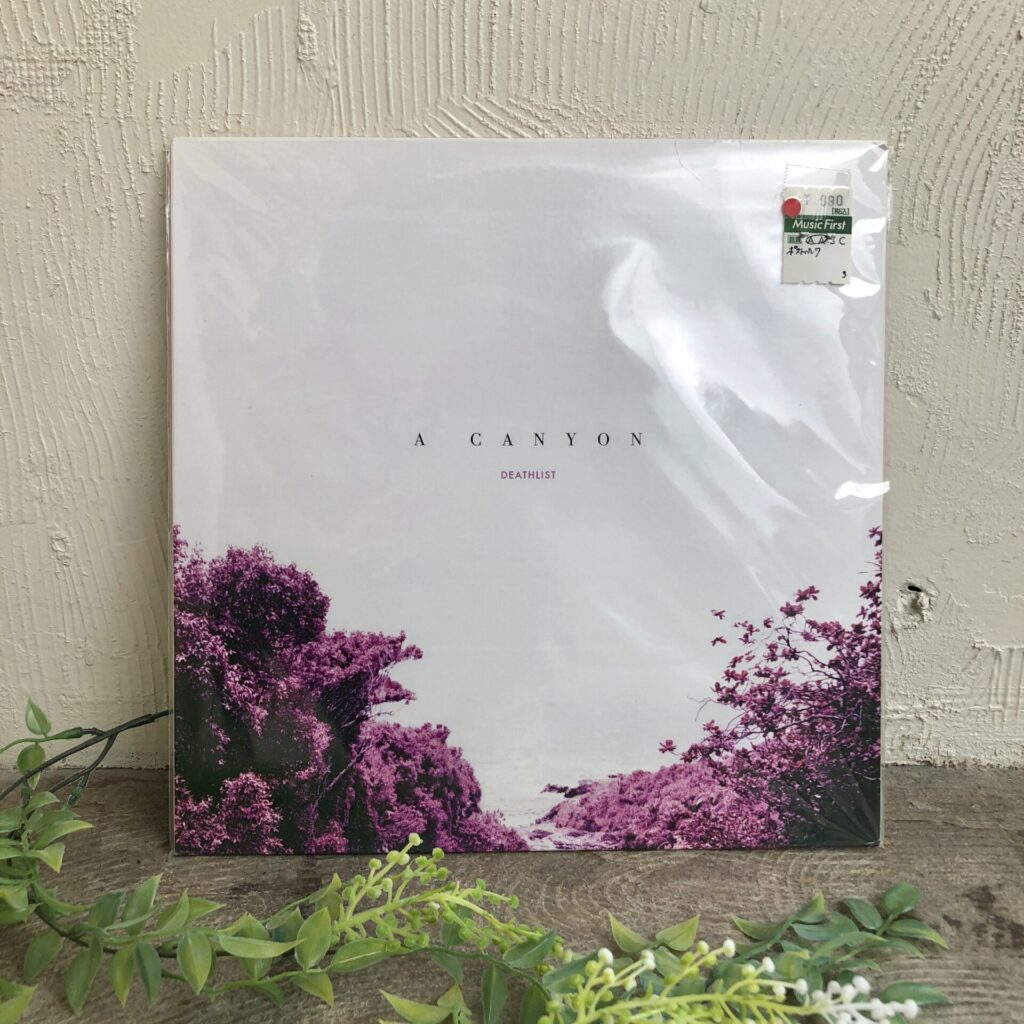 【本日のオススメ】 Dethlist/A Canyon(2019)